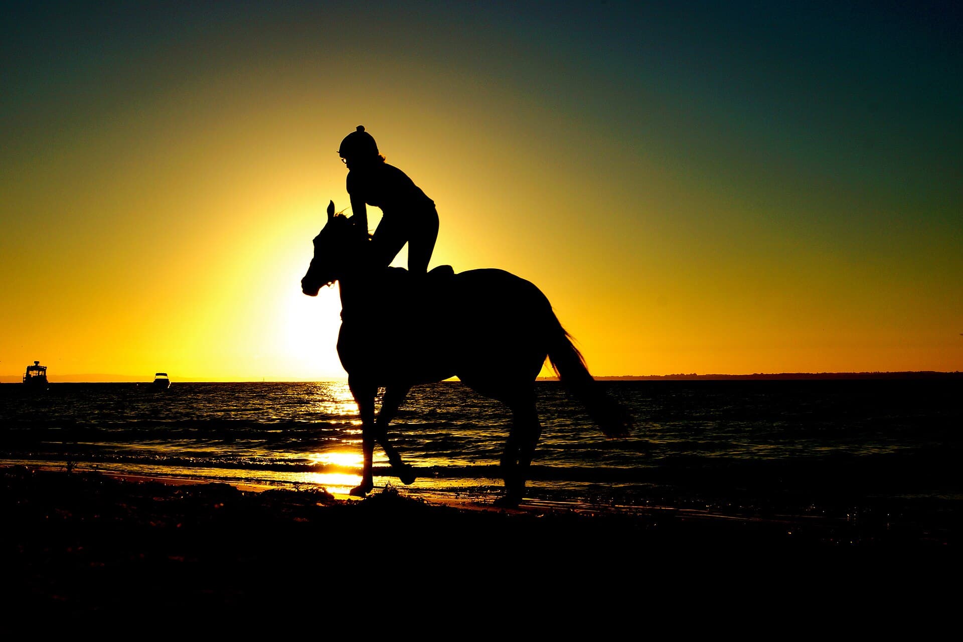 A rider on horseback at sunset