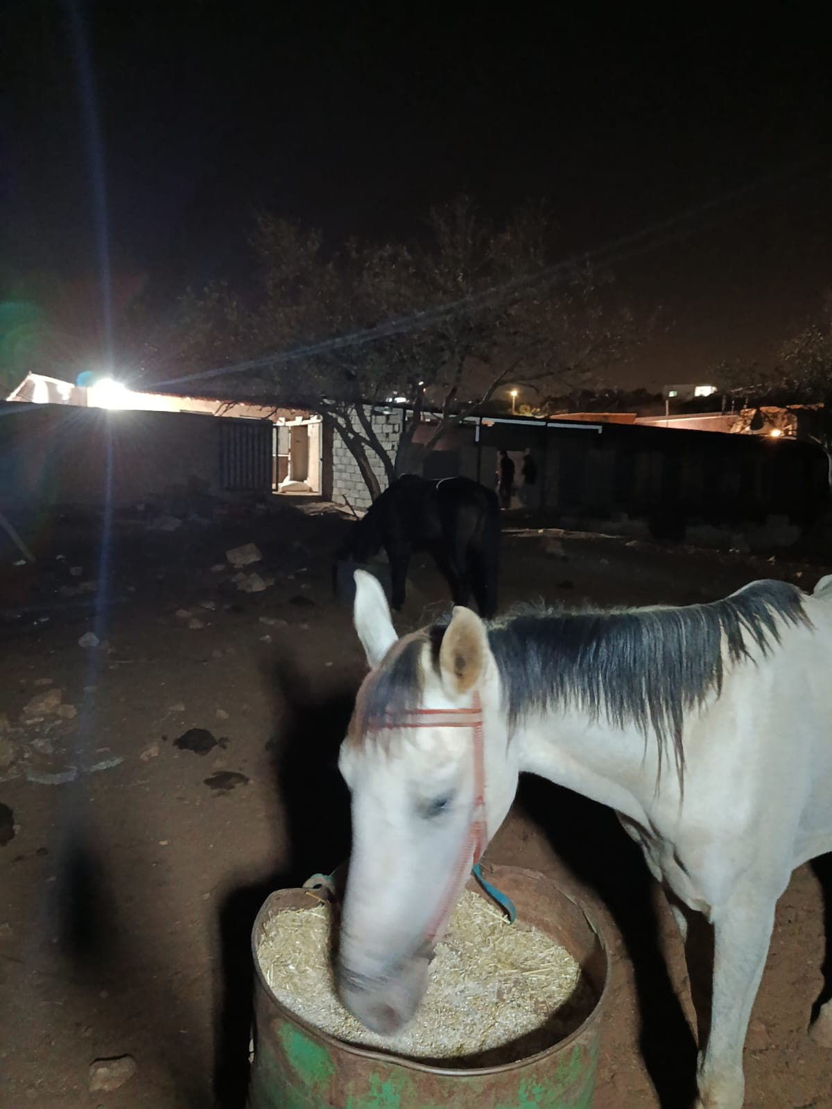 سراب